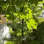 Gasthof Casa 45