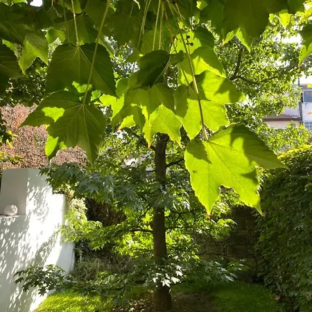 Affittacamere Casa 45