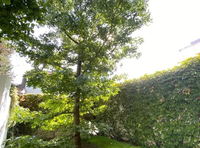 Casa 45 3* פורטו