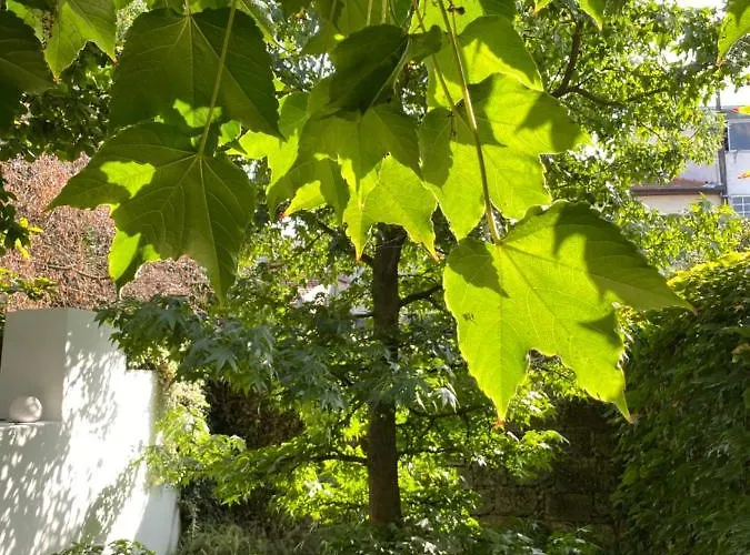 בית הארחה Casa 45