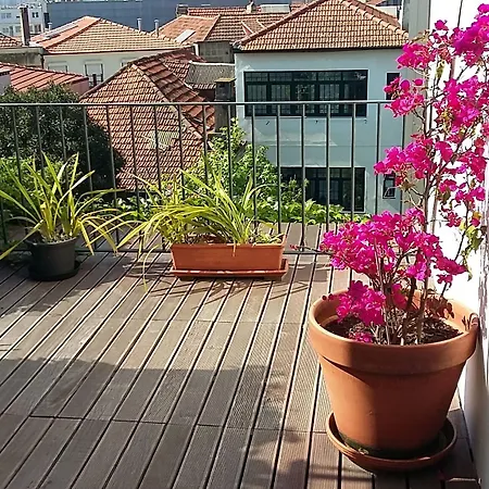 Casa 45