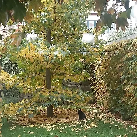 Vendégház Casa 45 Porto