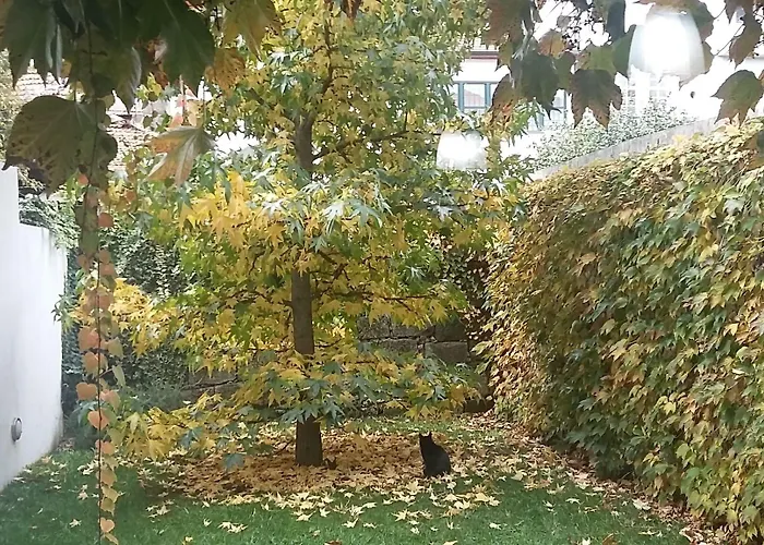 Vendégház Casa 45 Porto